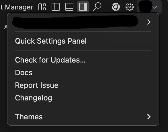 Antigravity account settings